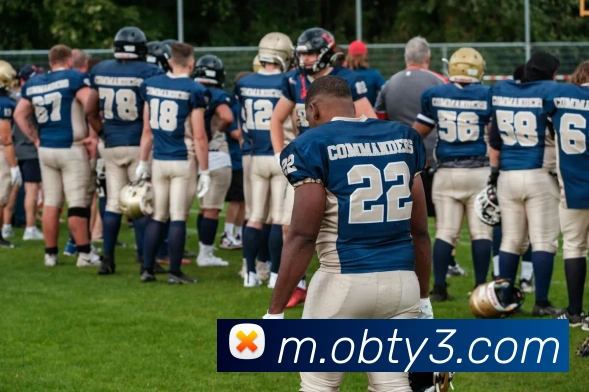 ob欧宝官网平台生态图