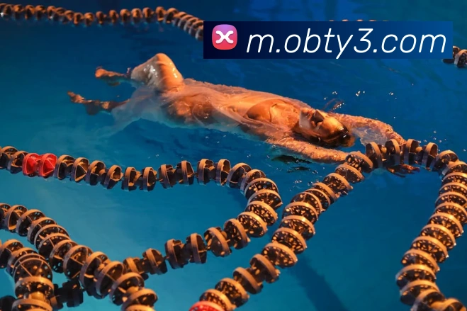 ob欧宝官网全站App